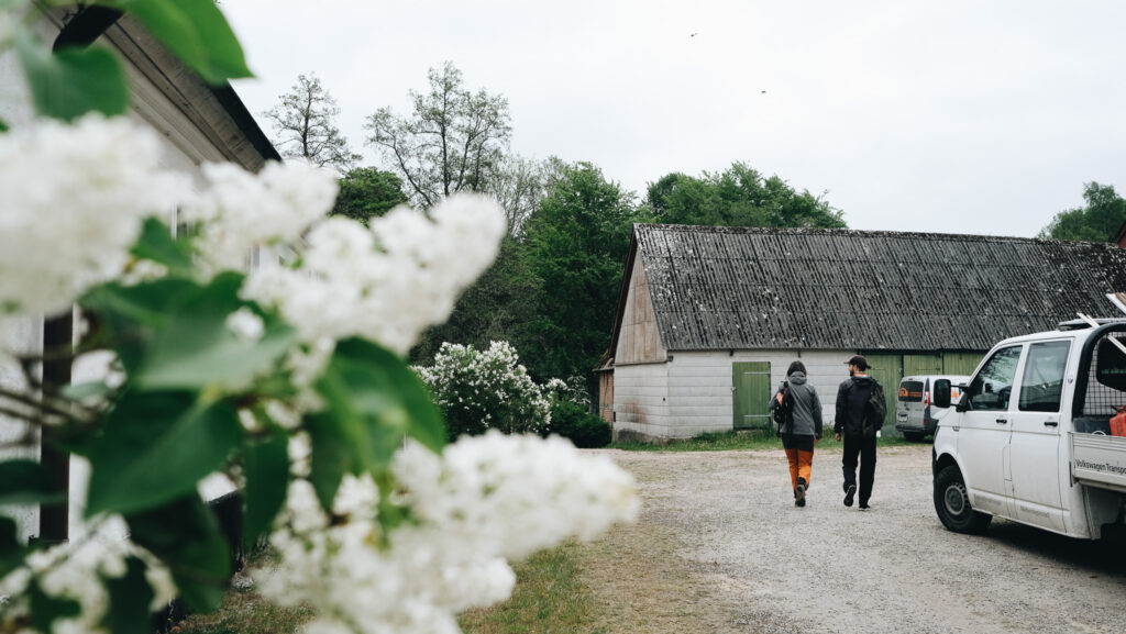 Oskarp vit syren i förgrunden och två personer som går på grusplanen framför Hasslemölla gård.