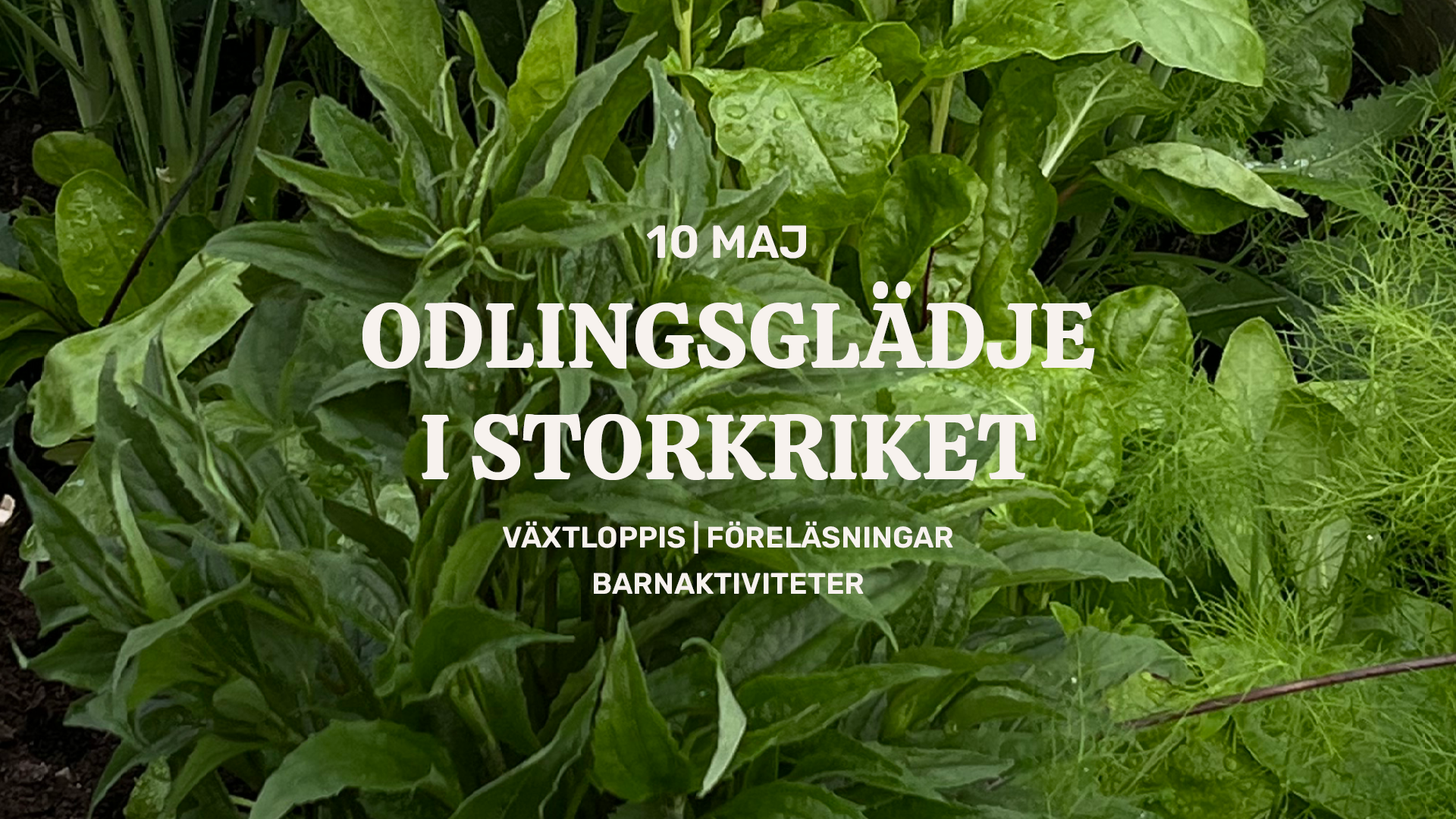 Gröna växter med texten Odlingsglädje i Storkriket