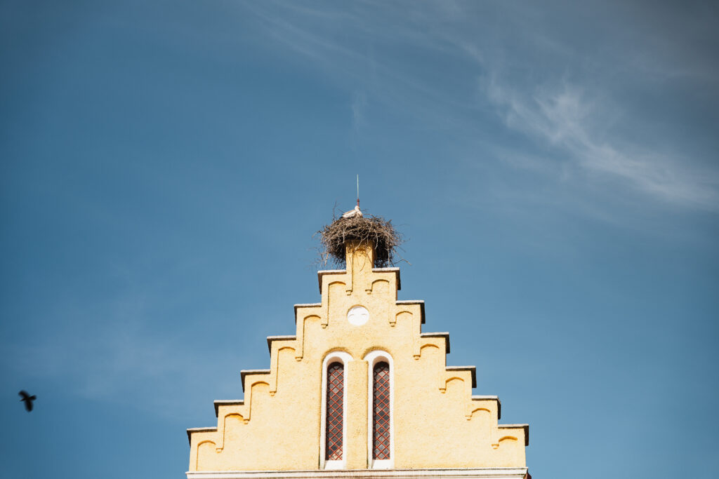 Flyinge Kungsgård Storkriket