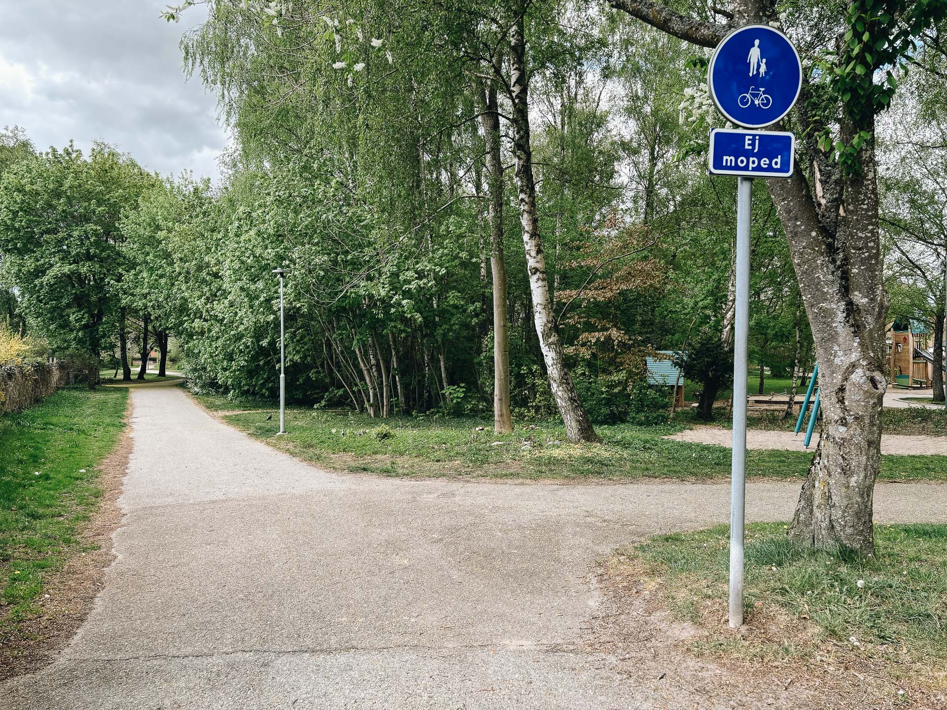 Lilla Risenrundan_web-6