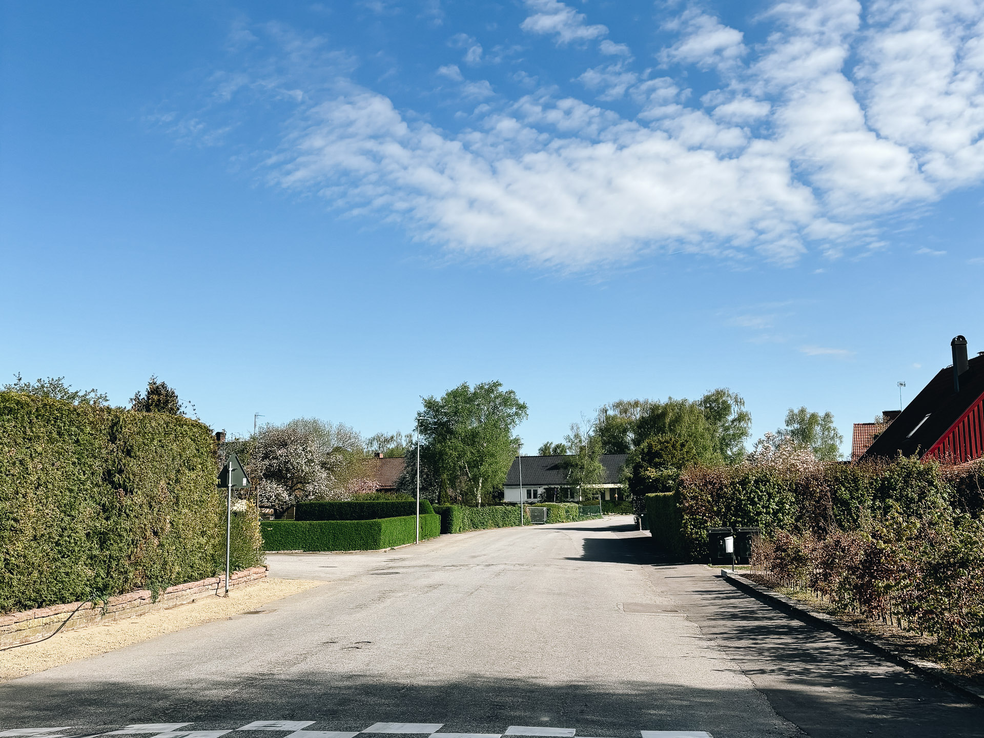 Stora Risenrundan_web-1