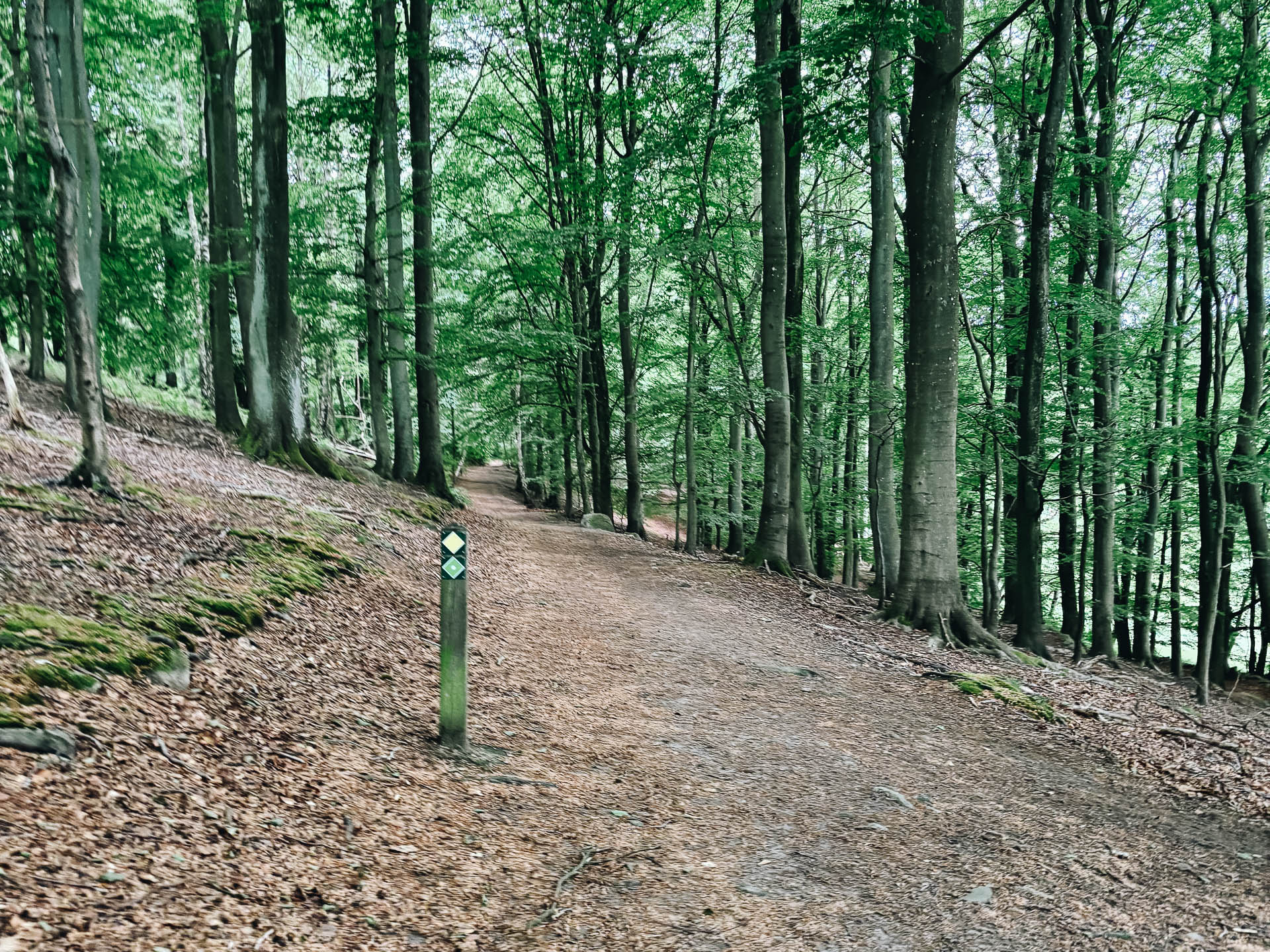 Stora Risenrundan_web-12