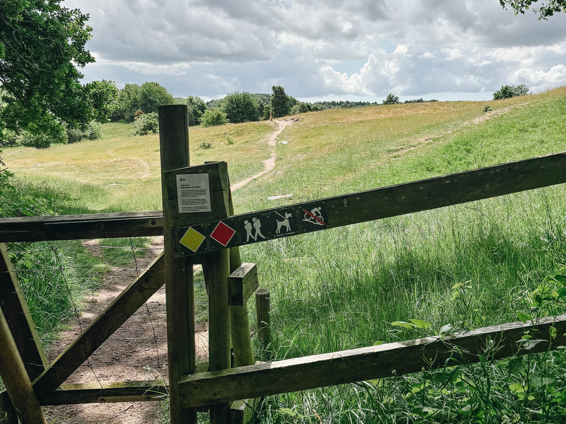 Stora Risenrundan_web-14