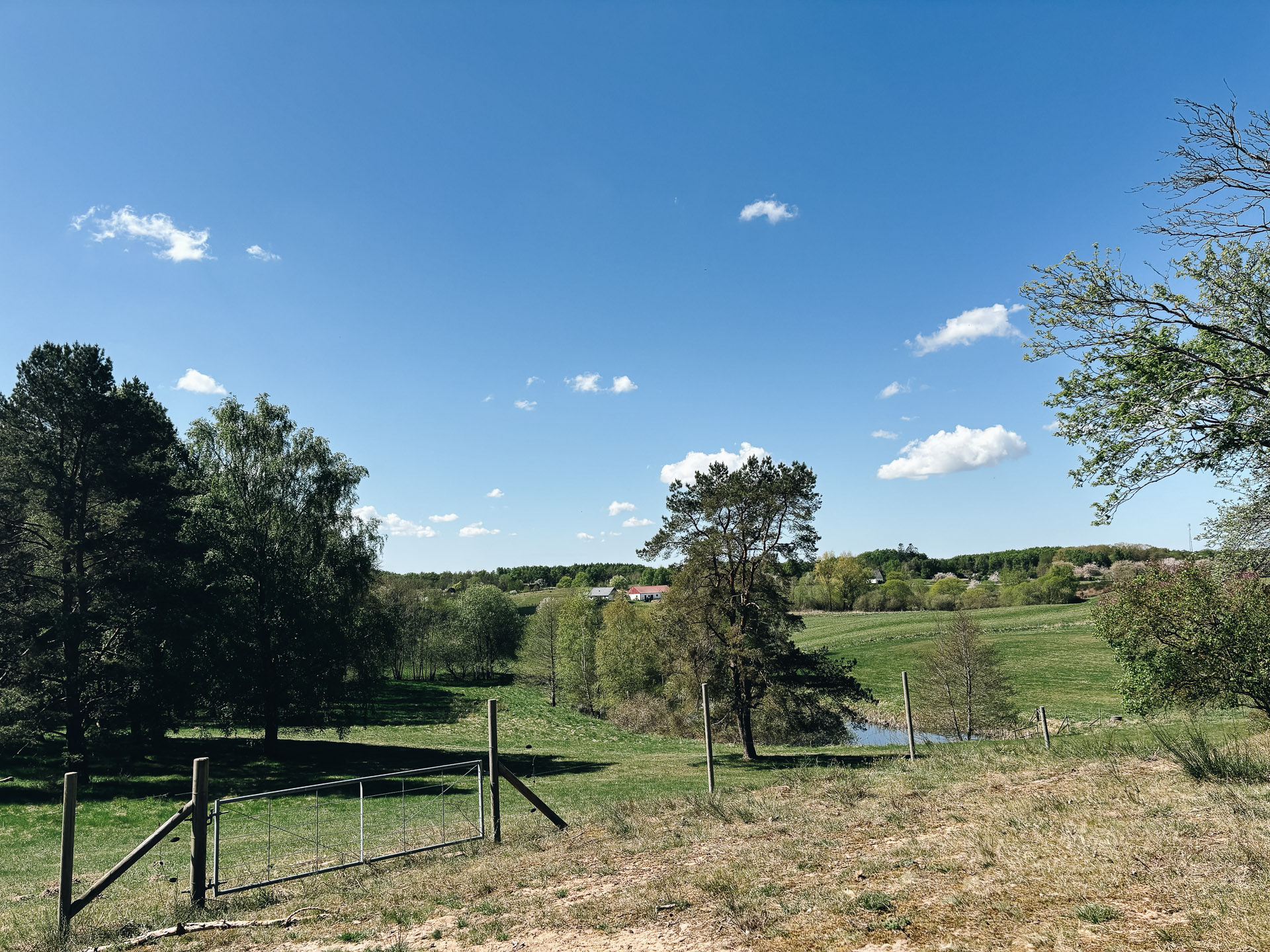 Stora Risenrundan_web-5