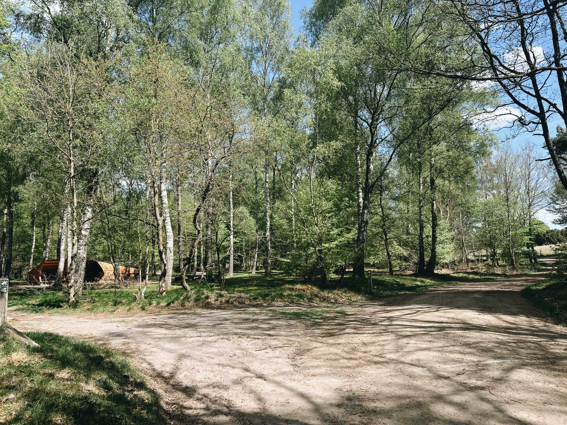 Stora Risenrundan_web-6