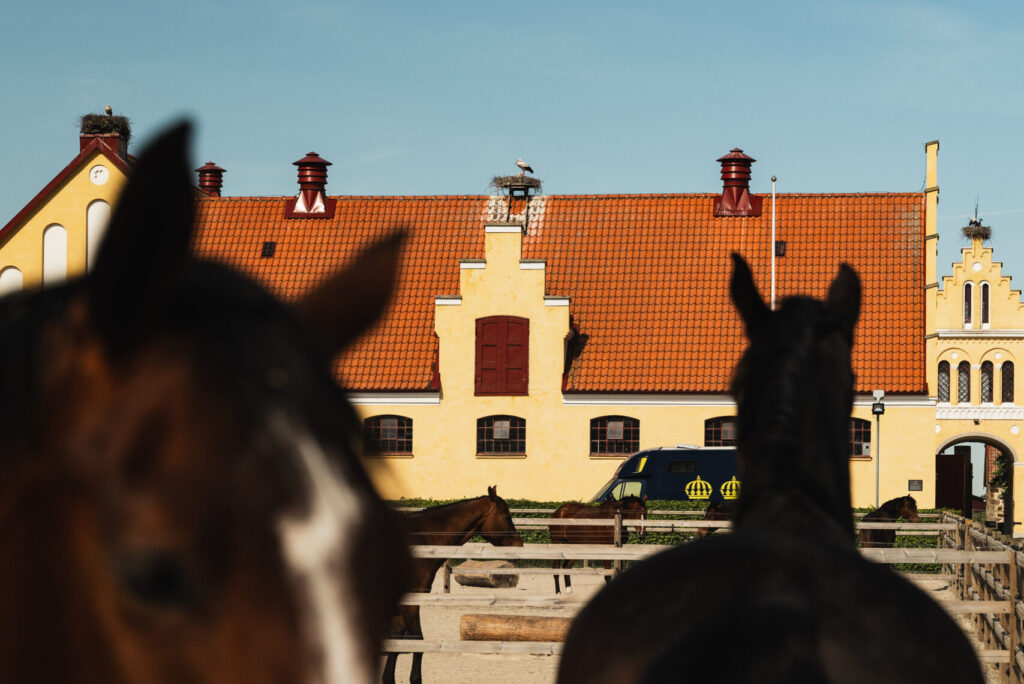 Hästar framför Flyinge Kungsgård